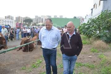 La feria de ganado, atractivo principal de la jornada matutina en Jinámar (Foto Antonio Alí y Francisco Javier Santana)